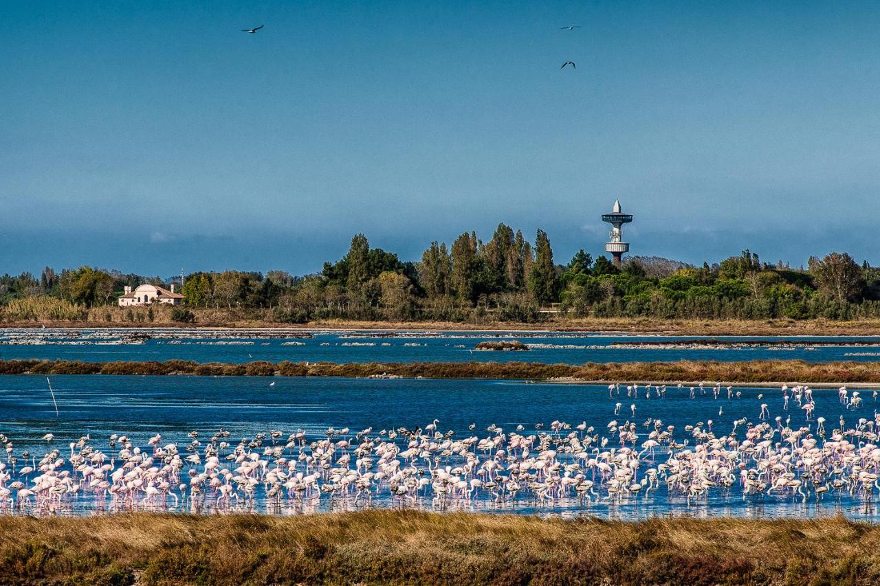 Villa Gloria Appartamento E01 Rosolina Mare Eksteriør billede